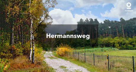 Langer Wanderweg an einer Waldlichtung: Hermannsweg